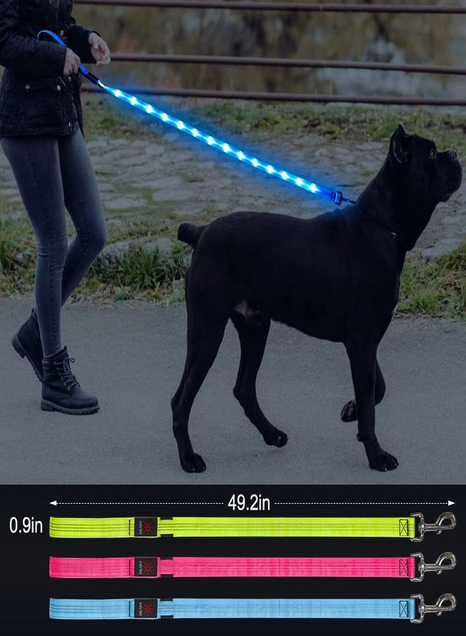 BSEEN LED Dog Leash - 4 Ft Light Up Dog Leash Rechargeable Glowing Pet Leash Reflective Puppy Lead Safety Dog Lights for Night Walking (BlueⅡ, 120cm) - Image 5